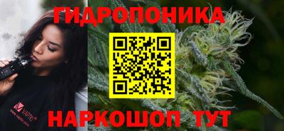 дживик Кимры