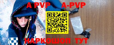 дурь Кингисепп