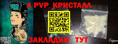 дурь Кингисепп