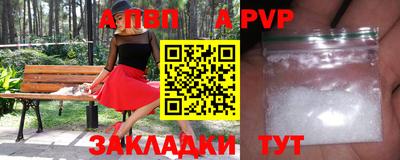дурь Кингисепп